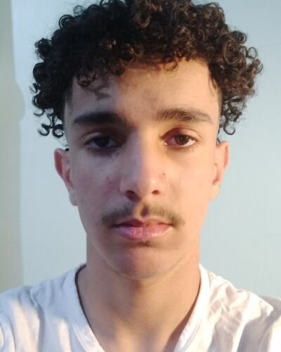 fares - Professional Model