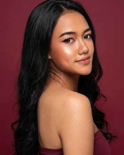 vindy - Professional Model
