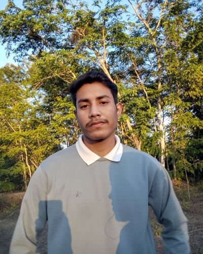 pronajit bora - Professional Model