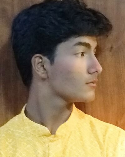 aditya mishra - Professional Model