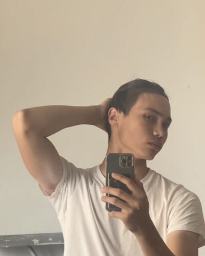 tenuun - Ulaanbaatar model