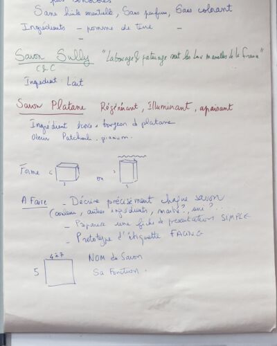 katete mulisa - Toulouse model