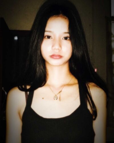 aien - Dimapur model