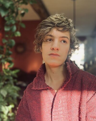 tobias - Brussels model