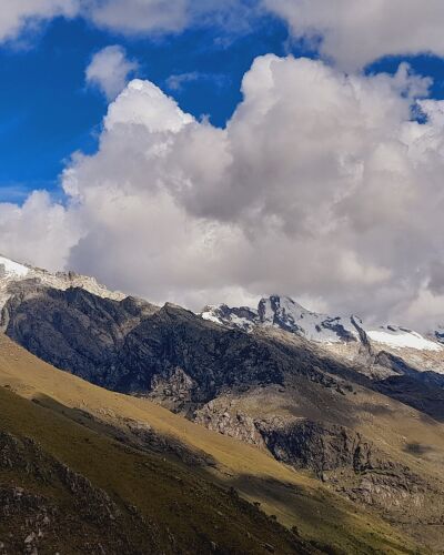 ariane domaigné - Zürich model