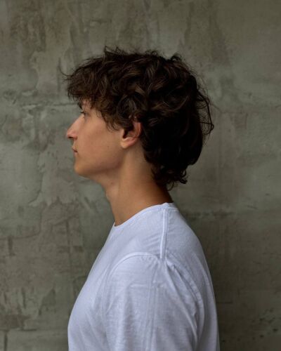 david - Miass model